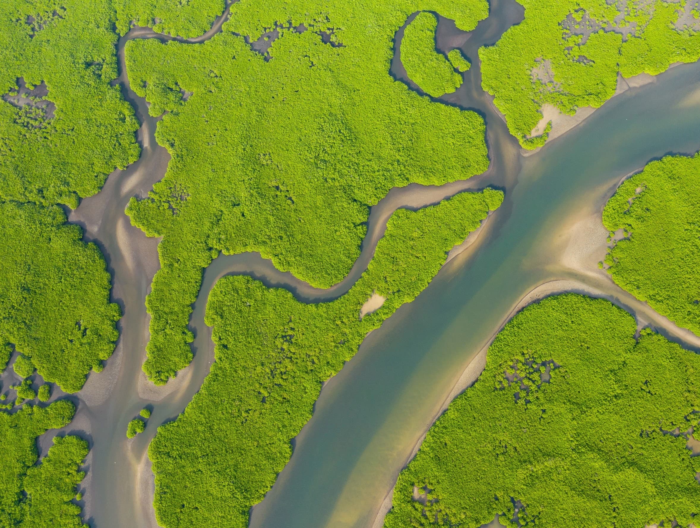 Methane Surge Reveals Climate System's Complex Vulnerabilities