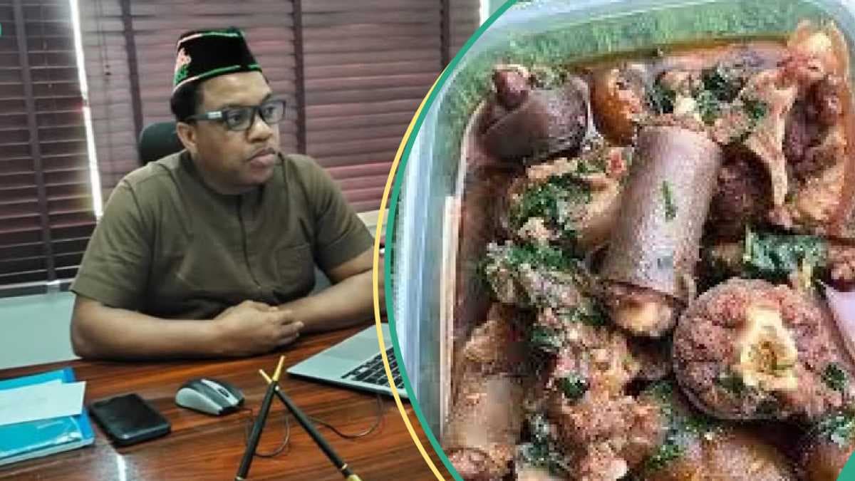 Nigerian Assembly Rejects Dog Meat Ban in Democratic Process